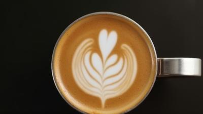 Thumbnail of milk being frothed in a stainless steel pitcher.
